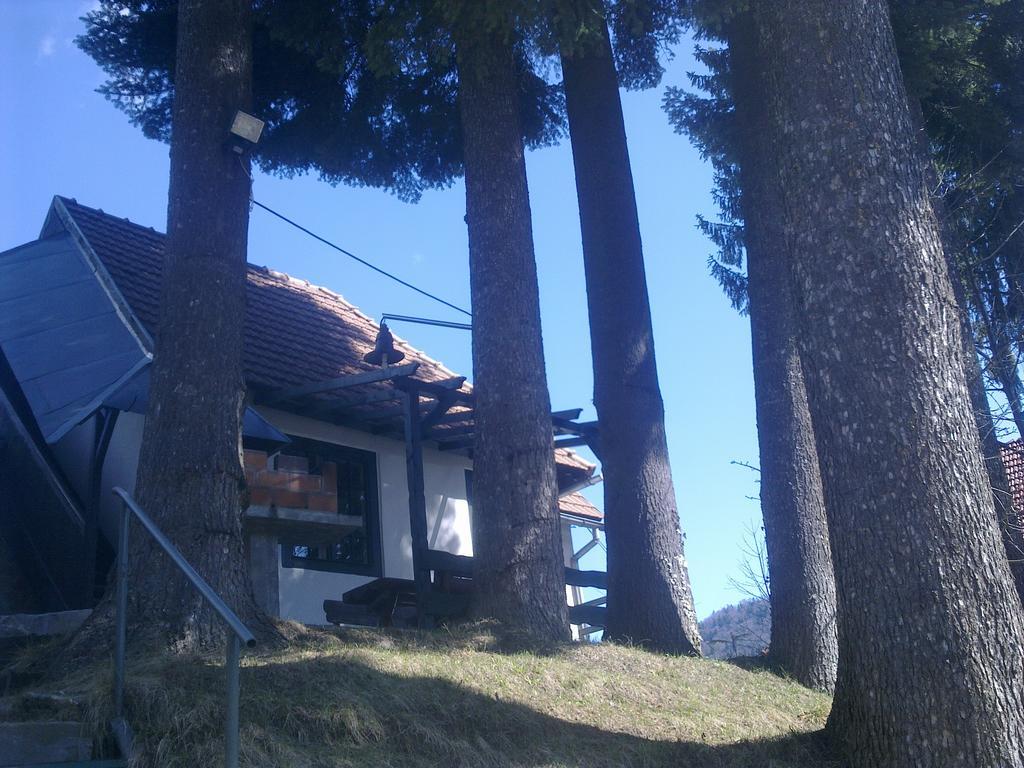 Вілла Casa Gabriela Сіная Номер фото