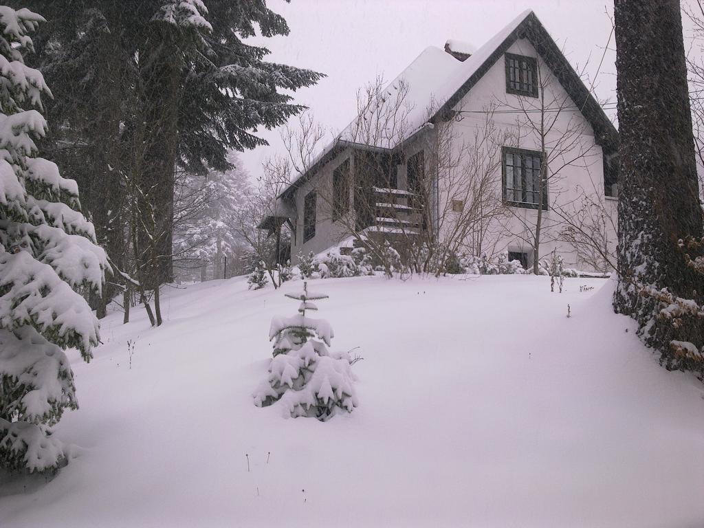 Вілла Casa Gabriela Сіная Номер фото